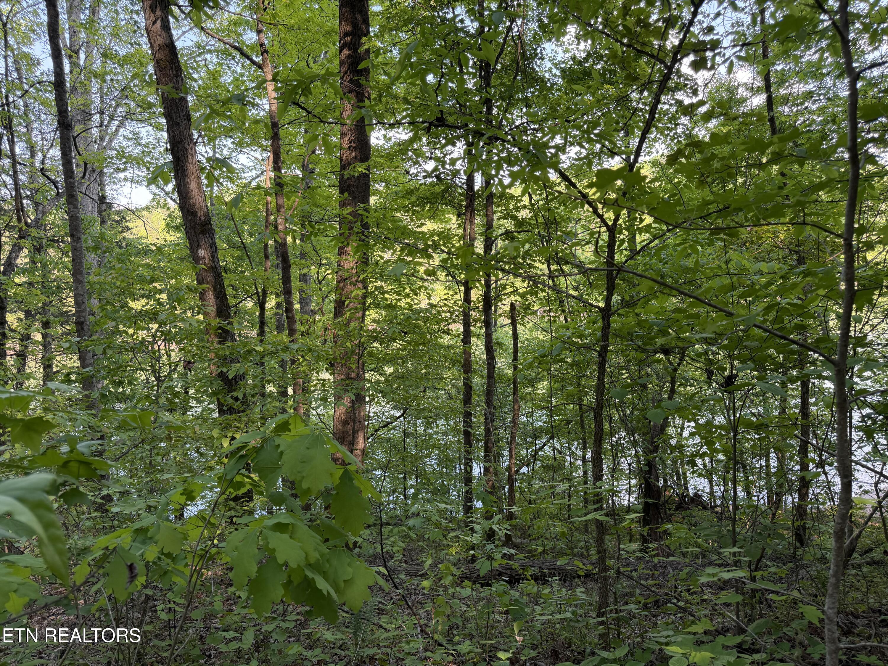 3 Three Point Rd, Vonore, TN - Fort Loudoun and Tellico Lake Real Estate - Image# 2