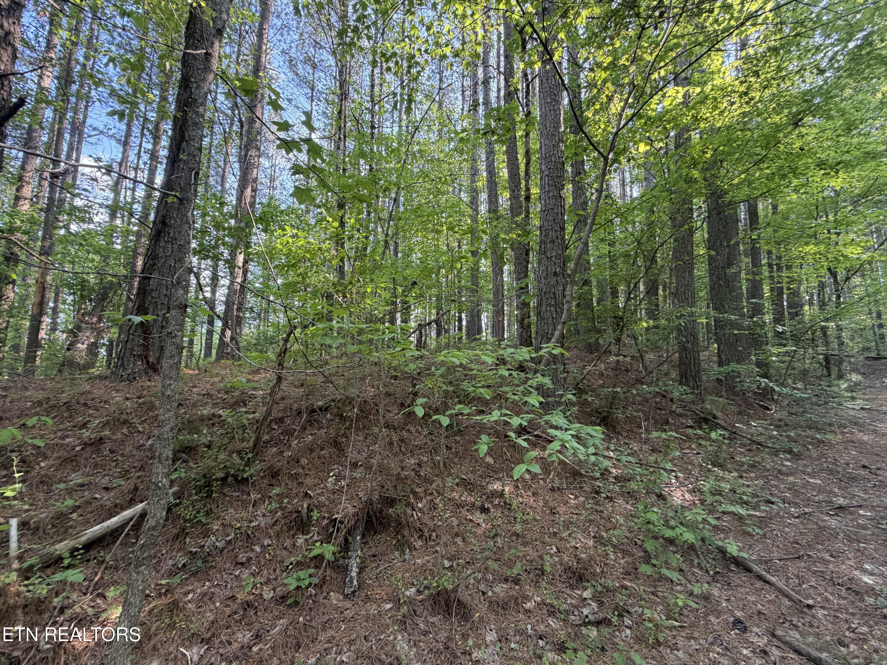 3 Three Point Rd, Vonore, TN - Fort Loudoun and Tellico Lake Real Estate - Image# 7