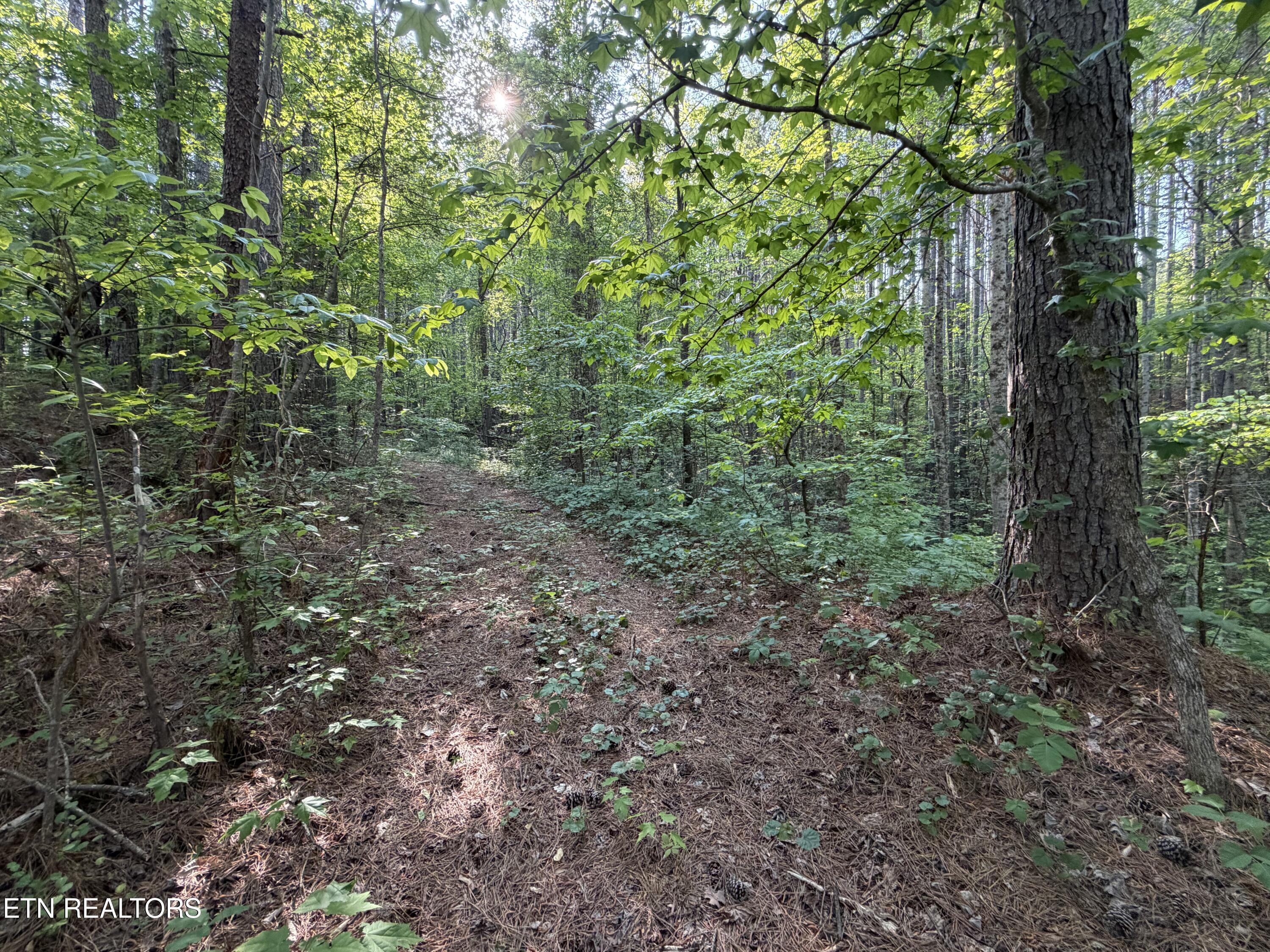 3 Three Point Rd, Vonore, TN - Fort Loudoun and Tellico Lake Real Estate - Image# 9