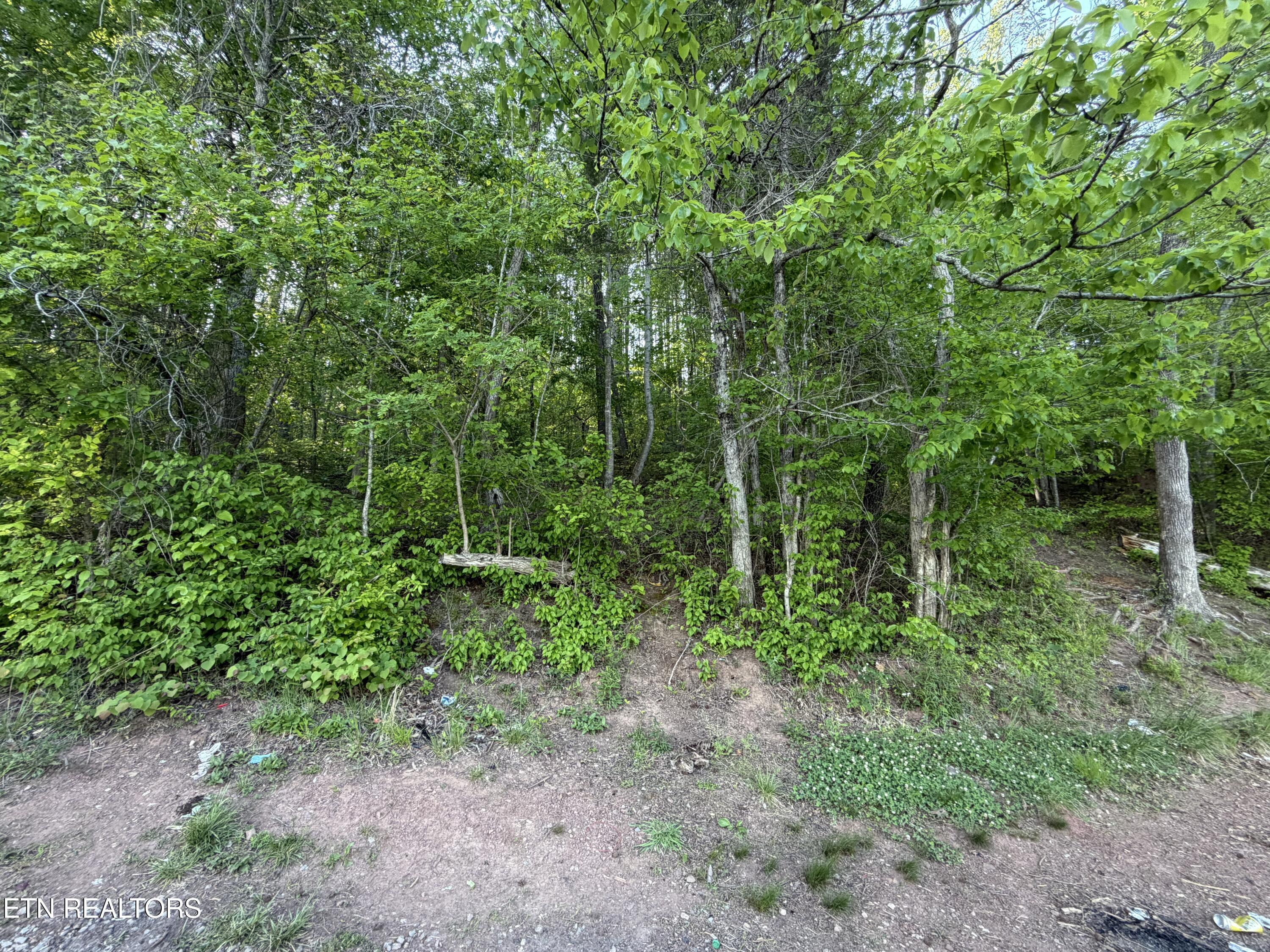 3 Three Point Rd, Vonore, TN - Fort Loudoun and Tellico Lake Real Estate - Image# 12