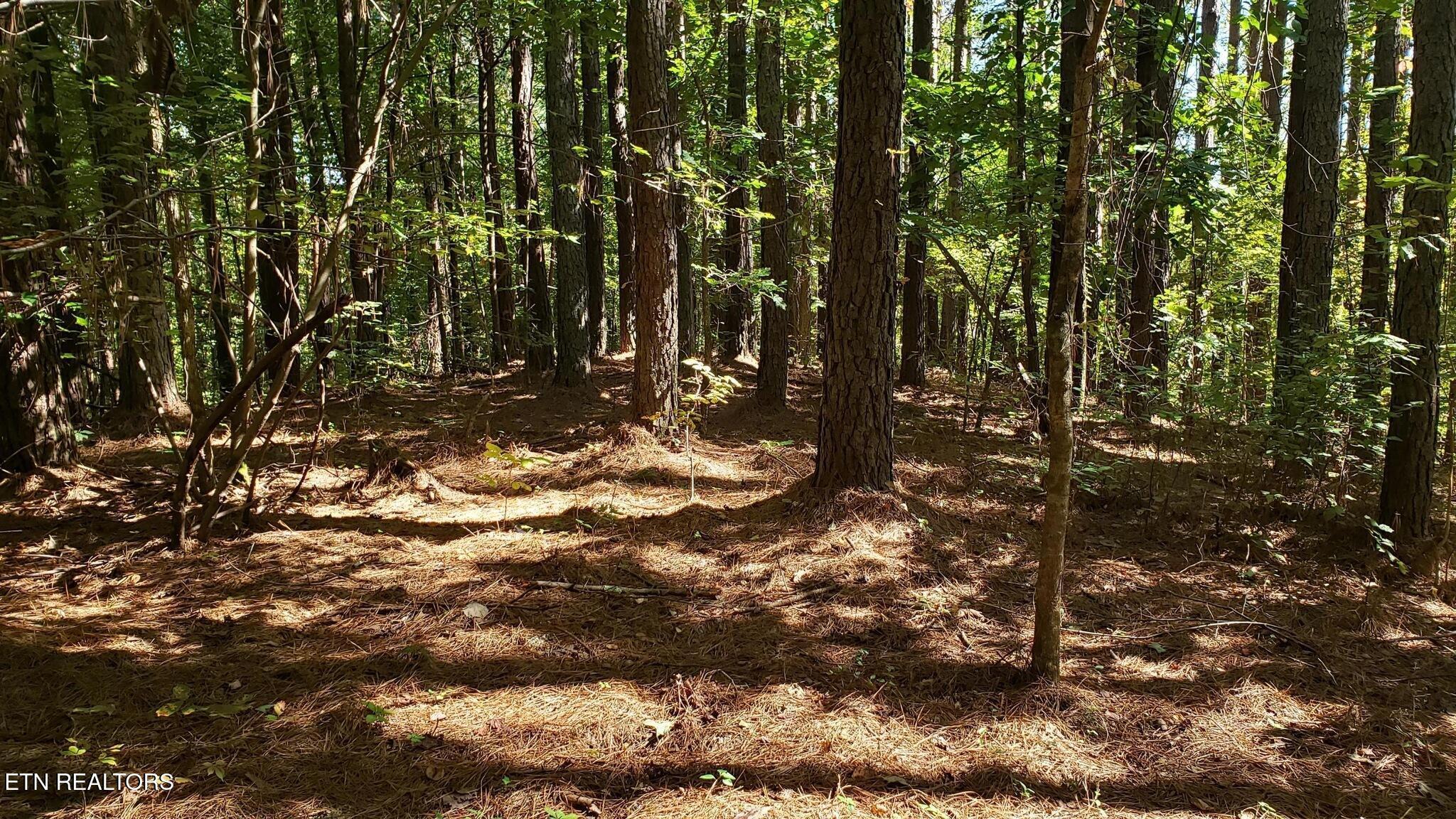 3 Three Point Rd, Vonore, TN - Fort Loudoun and Tellico Lake Real Estate - Image# 16