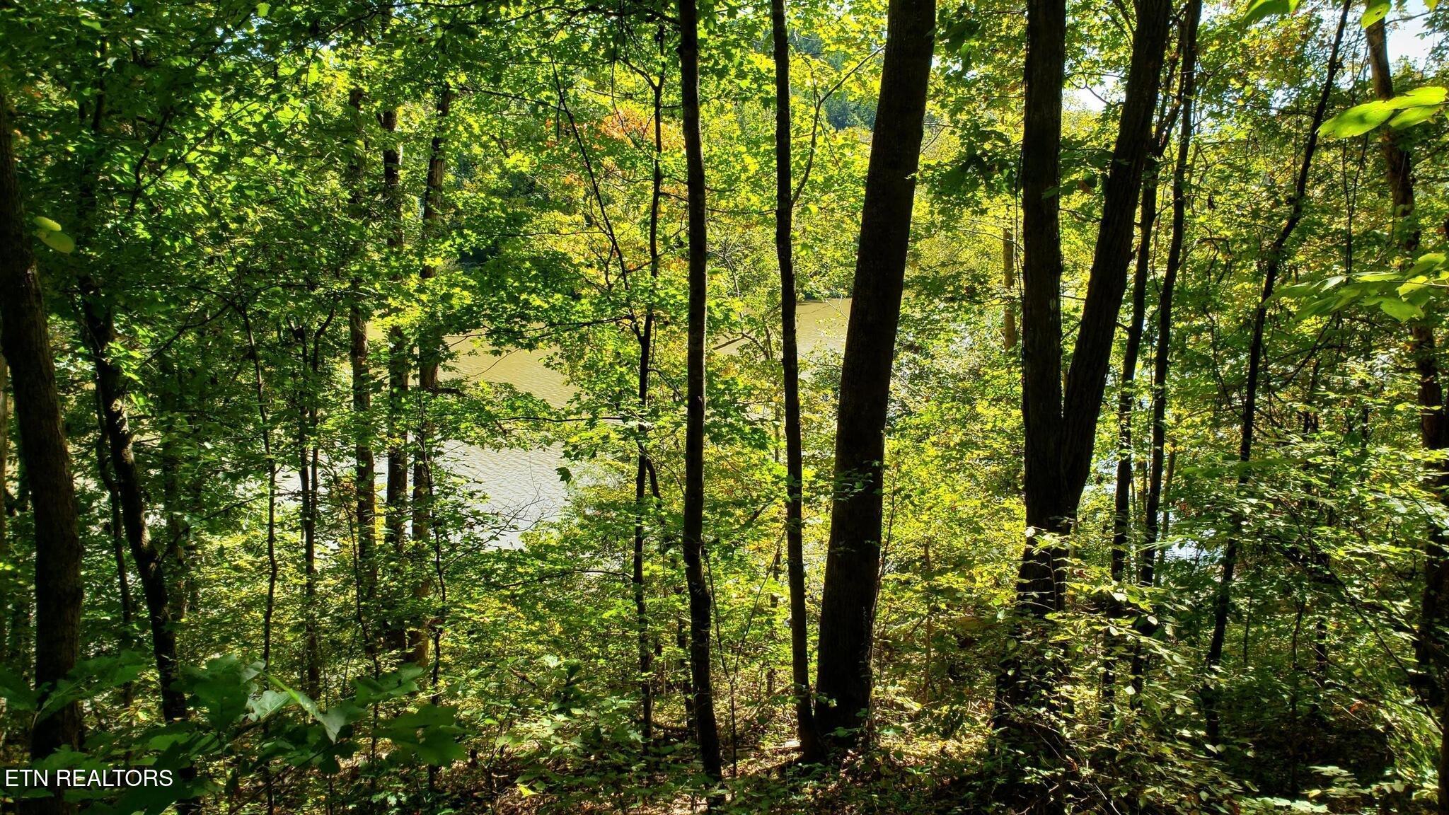 3 Three Point Rd, Vonore, TN - Fort Loudoun and Tellico Lake Real Estate - Image# 21
