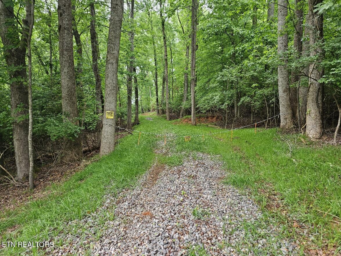 2050 Jones Bend Rd, Louisville, TN - Fort Loudoun and Tellico Lake Real Estate - Image# 16