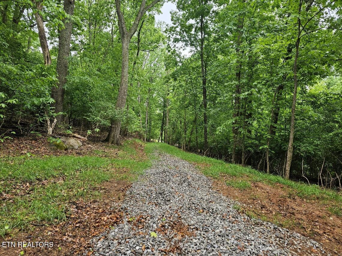 2050 Jones Bend Rd, Louisville, TN - Fort Loudoun and Tellico Lake Real Estate - Image# 17