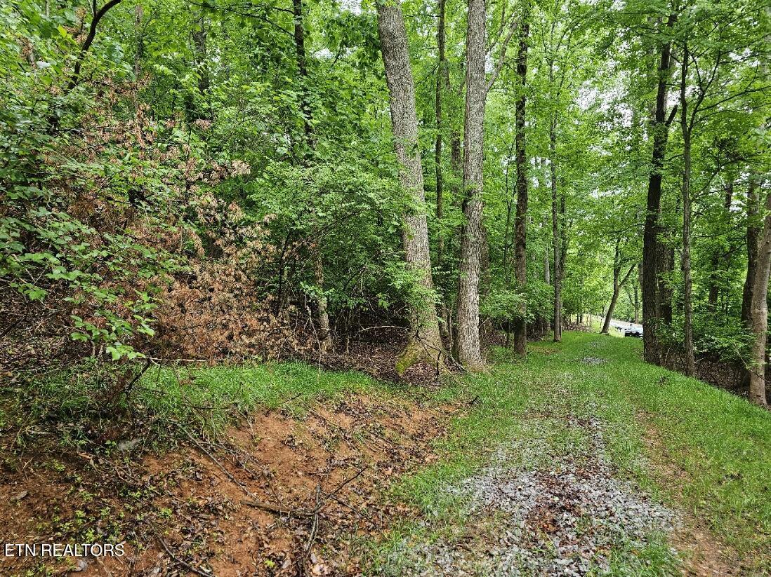 2050 Jones Bend Rd, Louisville, TN - Fort Loudoun and Tellico Lake Real Estate - Image# 18