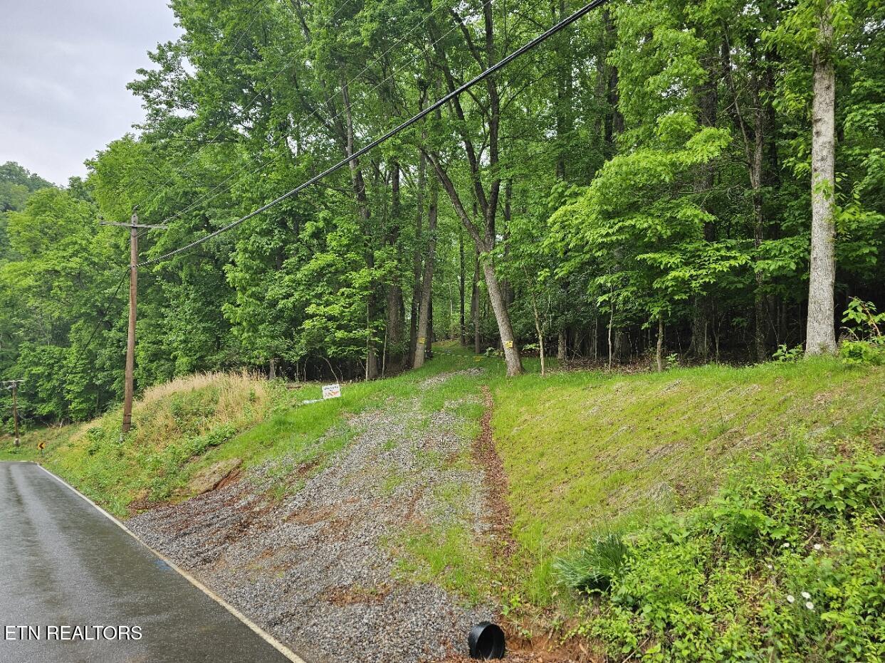 2050 Jones Bend Rd, Louisville, TN - Fort Loudoun and Tellico Lake Real Estate - Image# 19