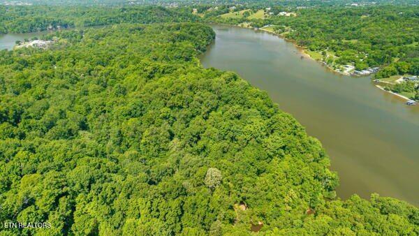 2050 Jones Bend Rd, Louisville, TN - Fort Loudoun and Tellico Lake Real Estate - Image# 5