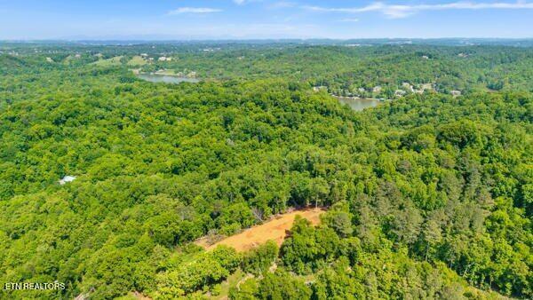 2050 Jones Bend Rd, Louisville, TN - Fort Loudoun and Tellico Lake Real Estate - Image# 6