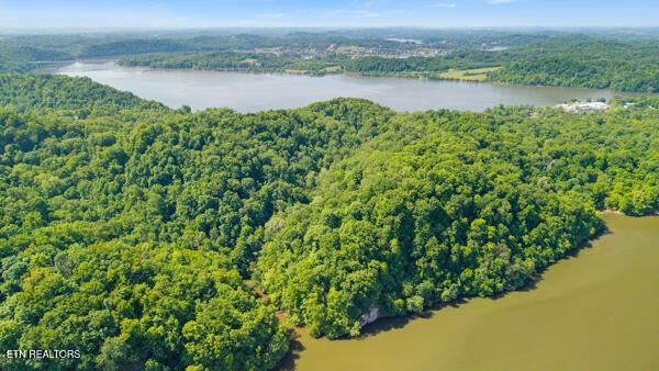 2050 Jones Bend Rd, Louisville, TN - Fort Loudoun and Tellico Lake Real Estate - Image# 1