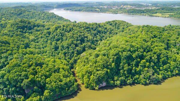 2050 Jones Bend Rd, Louisville, TN - Fort Loudoun and Tellico Lake Real Estate - Image# 4