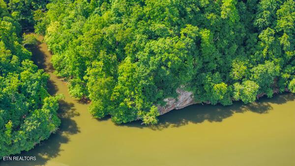 2050 Jones Bend Rd, Louisville, TN - Fort Loudoun and Tellico Lake Real Estate - Image# 3