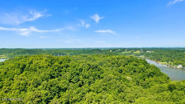 2050 Jones Bend Rd, Louisville, TN - Fort Loudoun and Tellico Lake Real Estate - Image# 8
