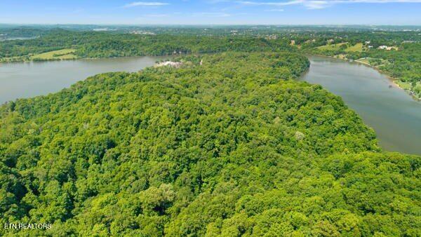 2050 Jones Bend Rd, Louisville, TN - Fort Loudoun and Tellico Lake Real Estate - Image# 11