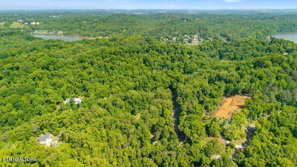 2050 Jones Bend Rd, Louisville, TN - Fort Loudoun and Tellico Lake Real Estate - Image# 10