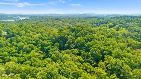 2050 Jones Bend Rd, Louisville, TN - Fort Loudoun and Tellico Lake Real Estate - Image# 7