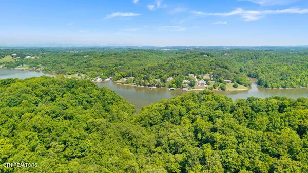 2050 Jones Bend Rd, Louisville, TN - Fort Loudoun and Tellico Lake Real Estate - Image# 12