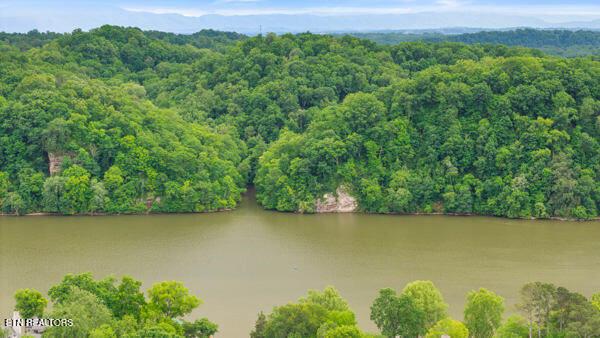 2050 Jones Bend Rd, Louisville, TN - Fort Loudoun and Tellico Lake Real Estate - Image# 6