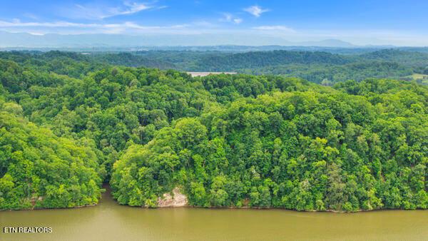 2050 Jones Bend Rd, Louisville, TN - Fort Loudoun and Tellico Lake Real Estate - Image# 8