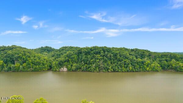 2050 Jones Bend Rd, Louisville, TN - Fort Loudoun and Tellico Lake Real Estate - Image# 10
