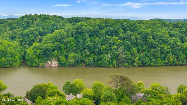 2050 Jones Bend Rd, Louisville, TN - Fort Loudoun and Tellico Lake Real Estate - Image# 12