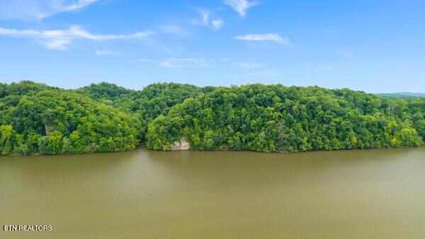 2050 Jones Bend Rd, Louisville, TN - Fort Loudoun and Tellico Lake Real Estate - Image# 14