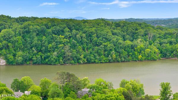 2050 Jones Bend Rd, Louisville, TN - Fort Loudoun and Tellico Lake Real Estate - Image# 16