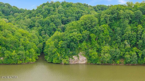 2050 Jones Bend Rd, Louisville, TN - Fort Loudoun and Tellico Lake Real Estate - Image# 18