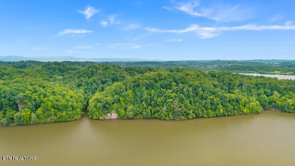2050 Jones Bend Rd, Louisville, TN - Fort Loudoun and Tellico Lake Real Estate - Image# 20