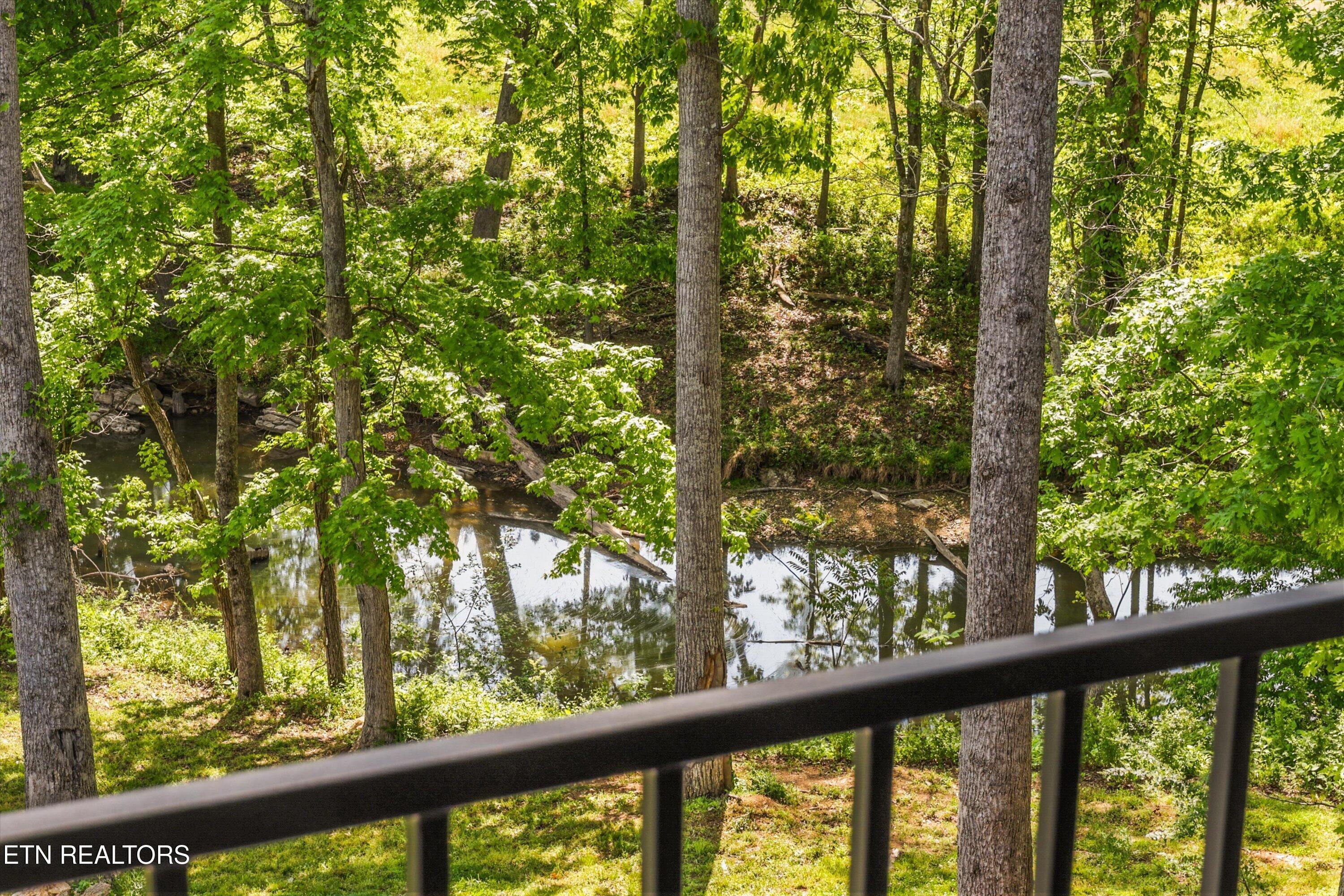 Fort Loudoun and Tellico Lake Real Estate - Image# 58