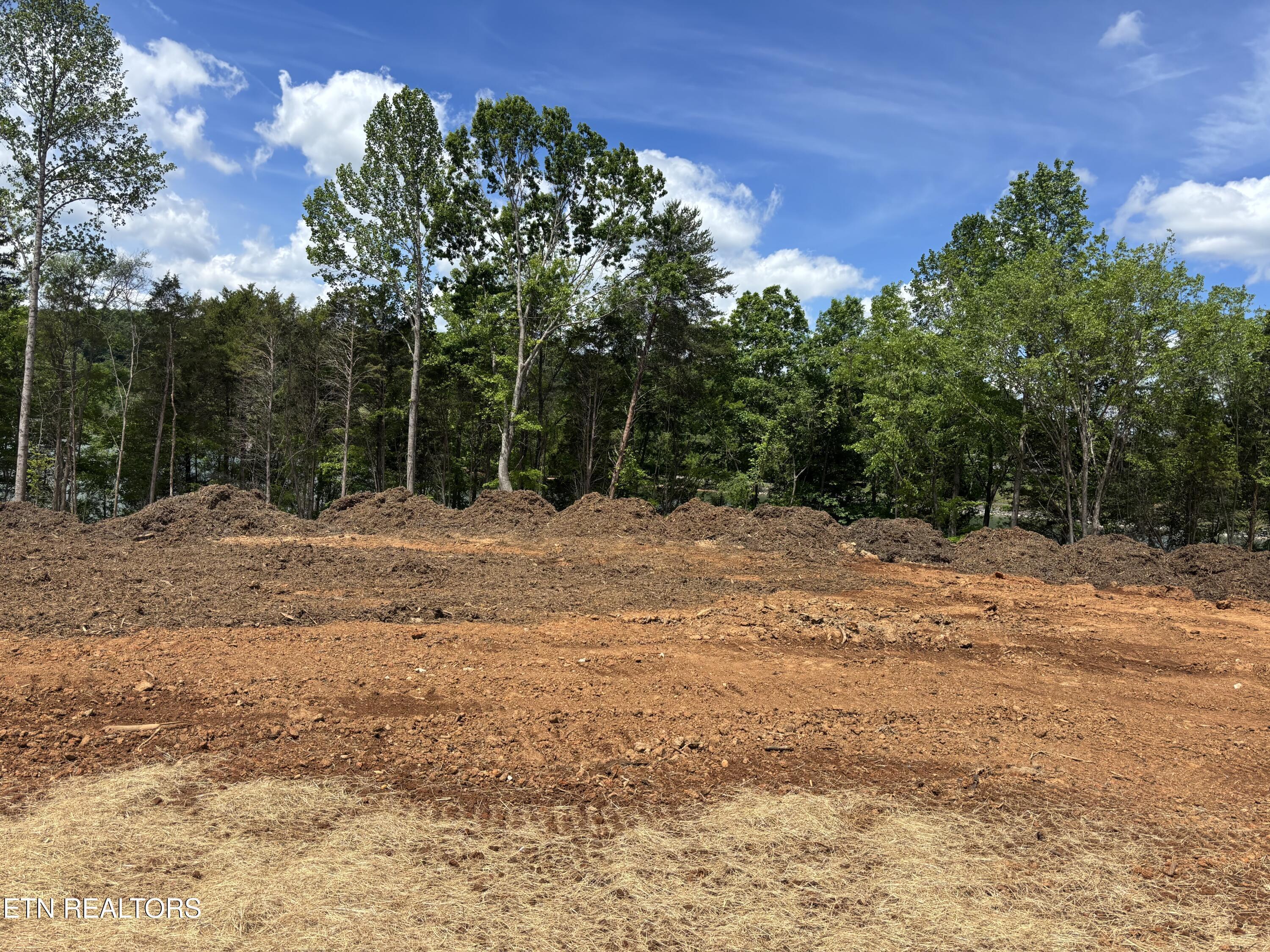 134 Agaya Tr, Vonore, TN - Fort Loudoun and Tellico Lake Real Estate - Image# 4