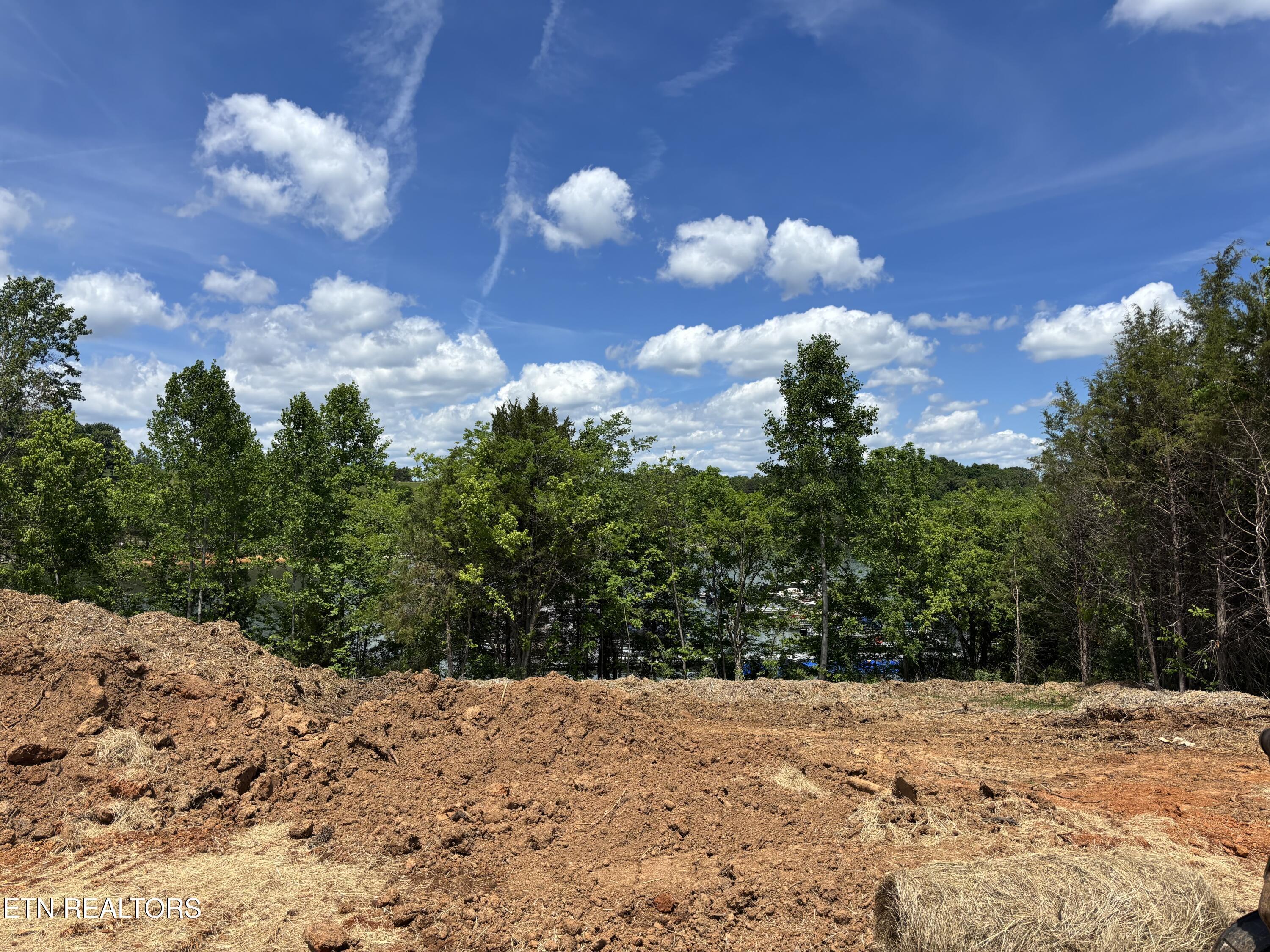 311 Waya Tr, Vonore, TN - Fort Loudoun and Tellico Lake Real Estate - Image# 4