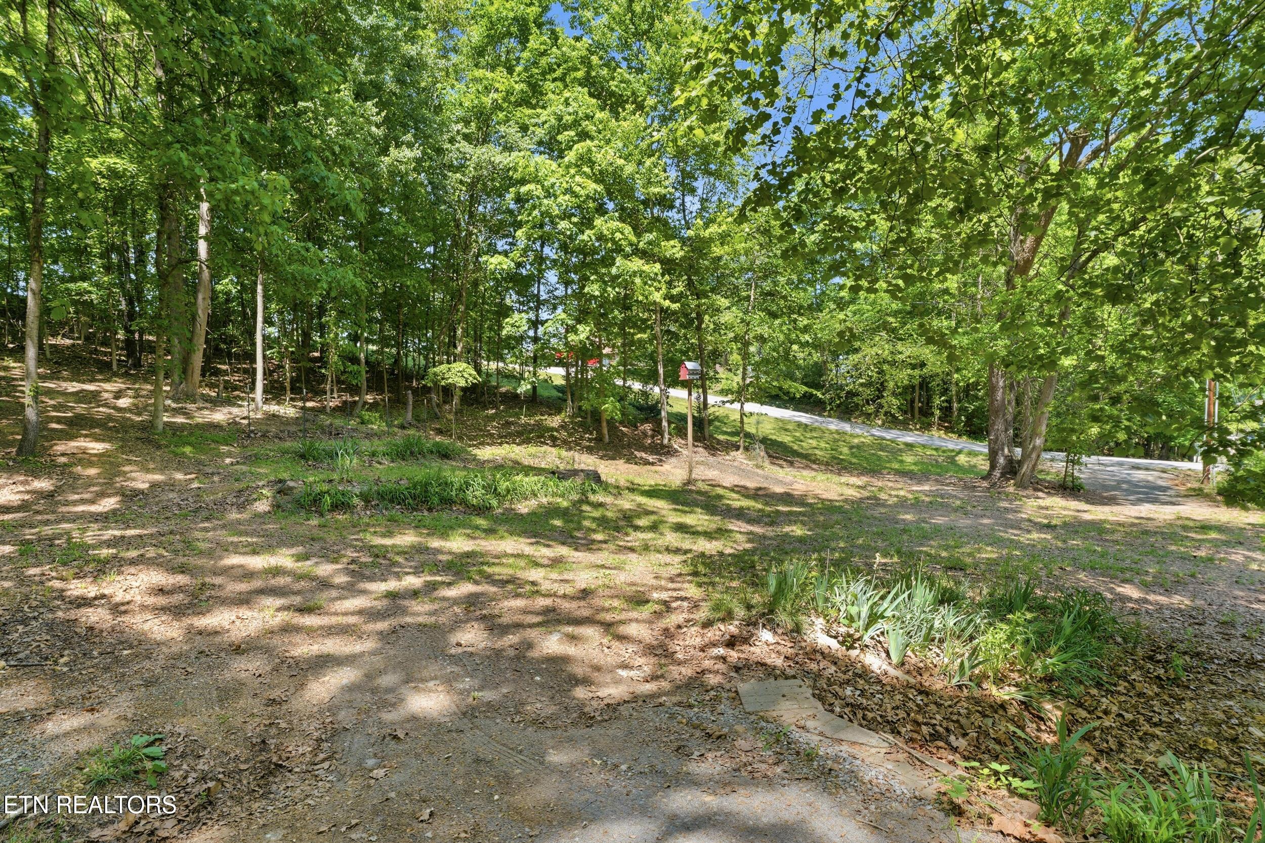 Fort Loudoun and Tellico Lake Real Estate - Image# 5