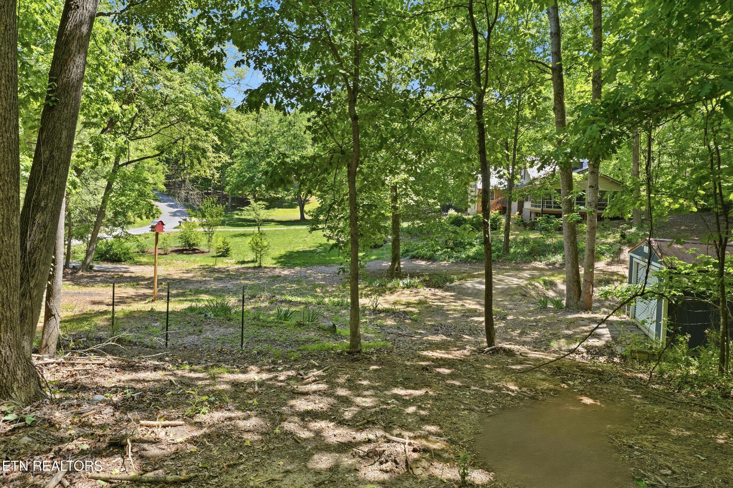 Fort Loudoun and Tellico Lake Real Estate - Image# 7