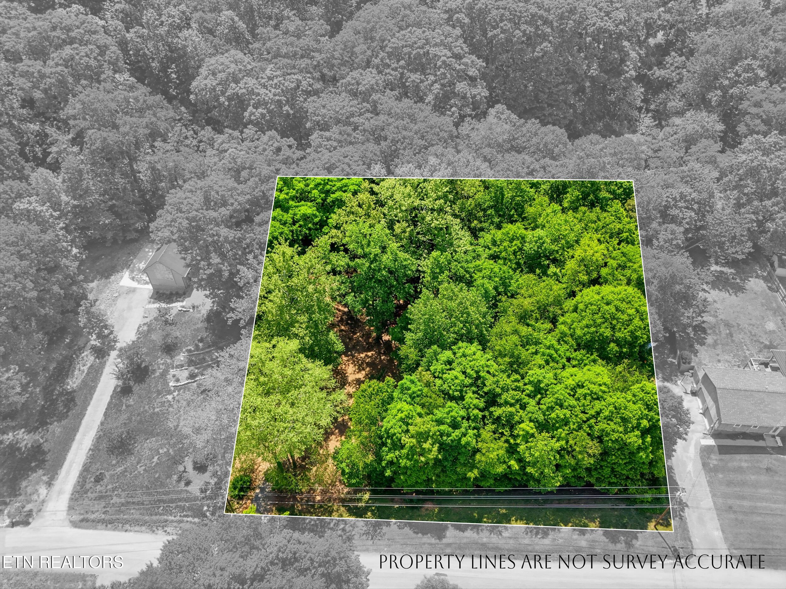 Fort Loudoun and Tellico Lake Real Estate - Image# 11