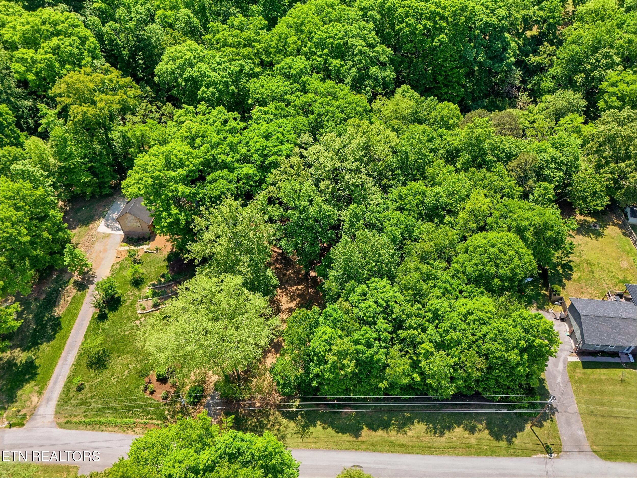 Fort Loudoun and Tellico Lake Real Estate - Image# 12