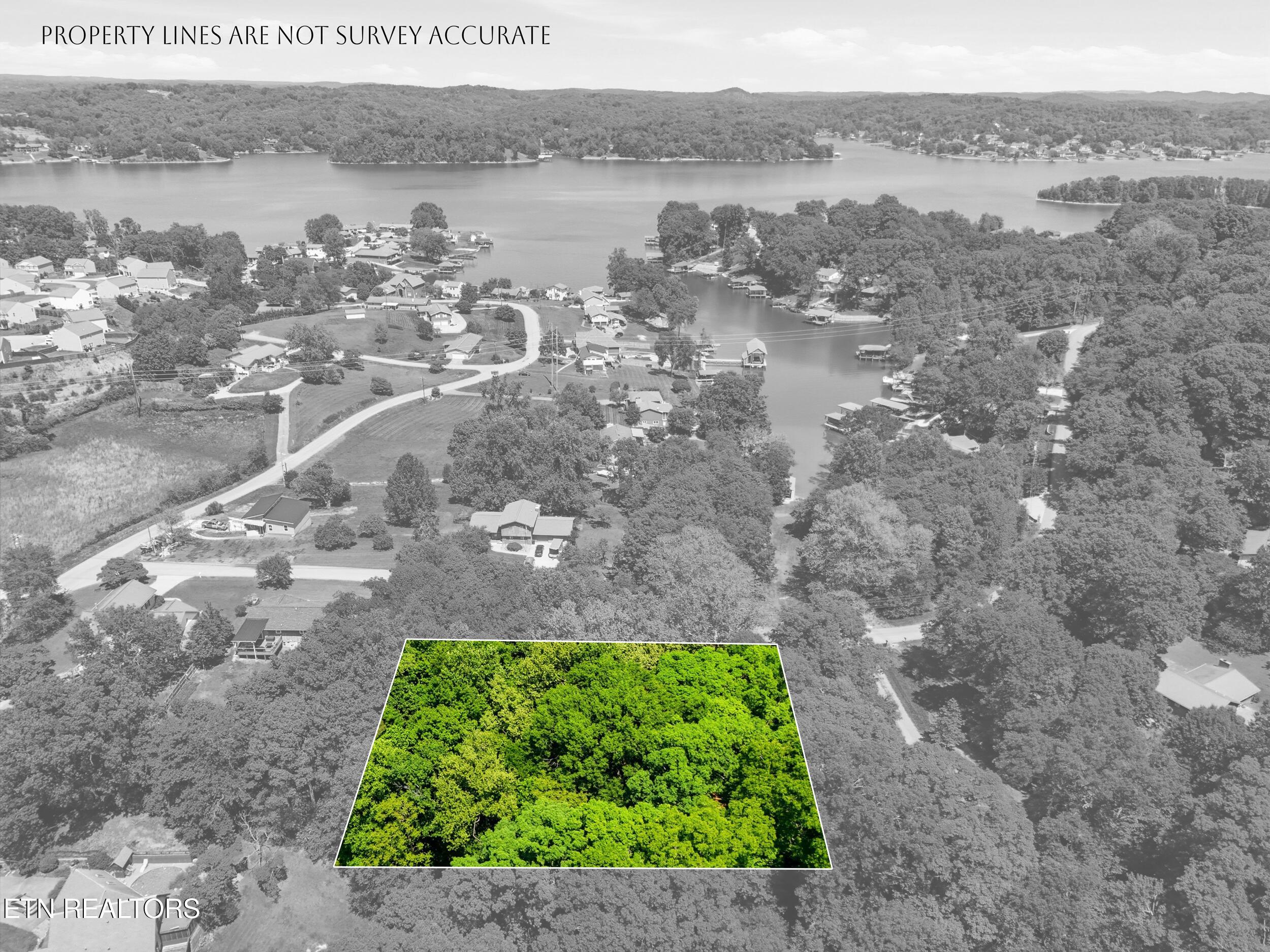 Fort Loudoun and Tellico Lake Real Estate - Image# 13