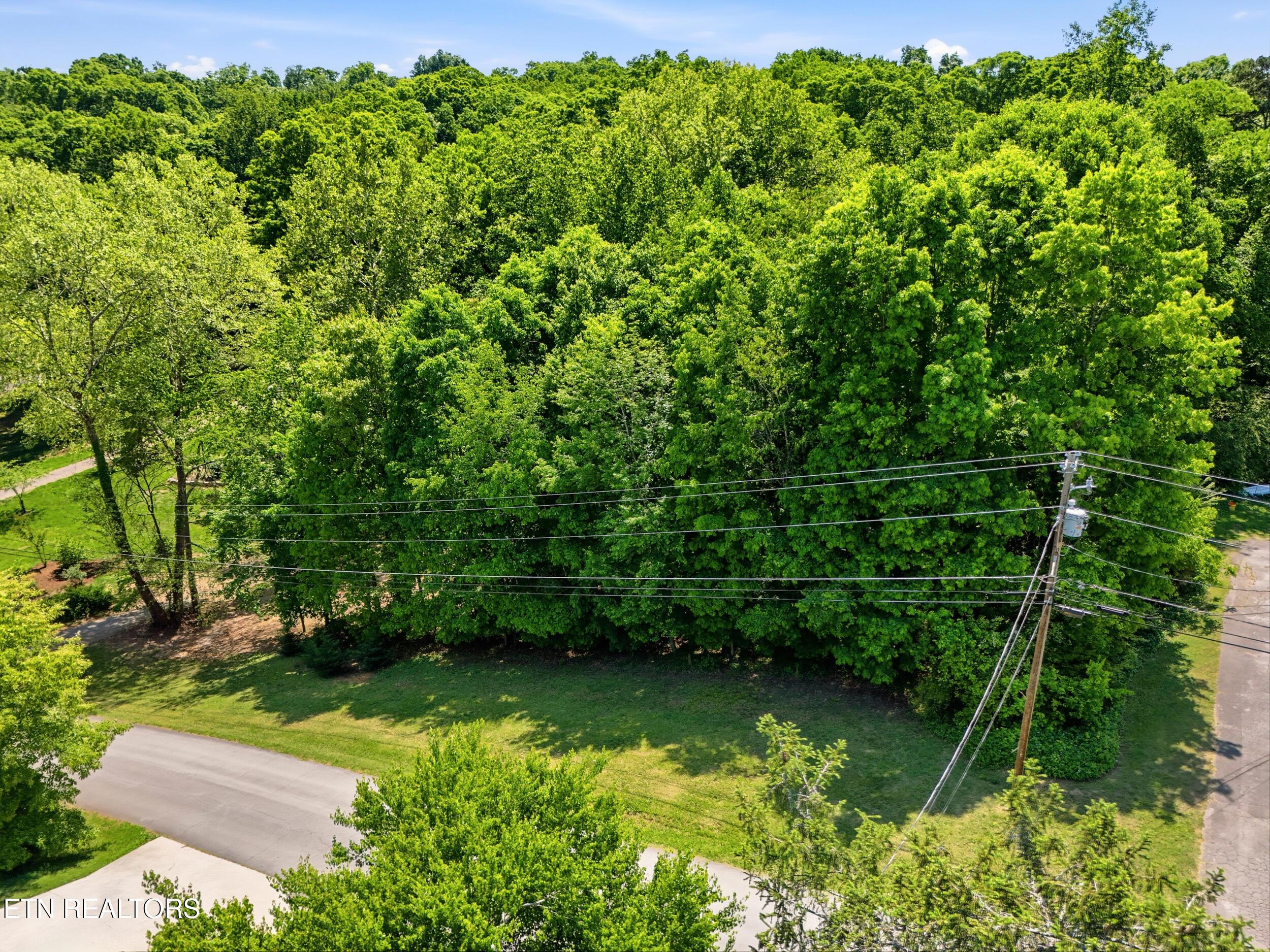 Fort Loudoun and Tellico Lake Real Estate - Image# 17