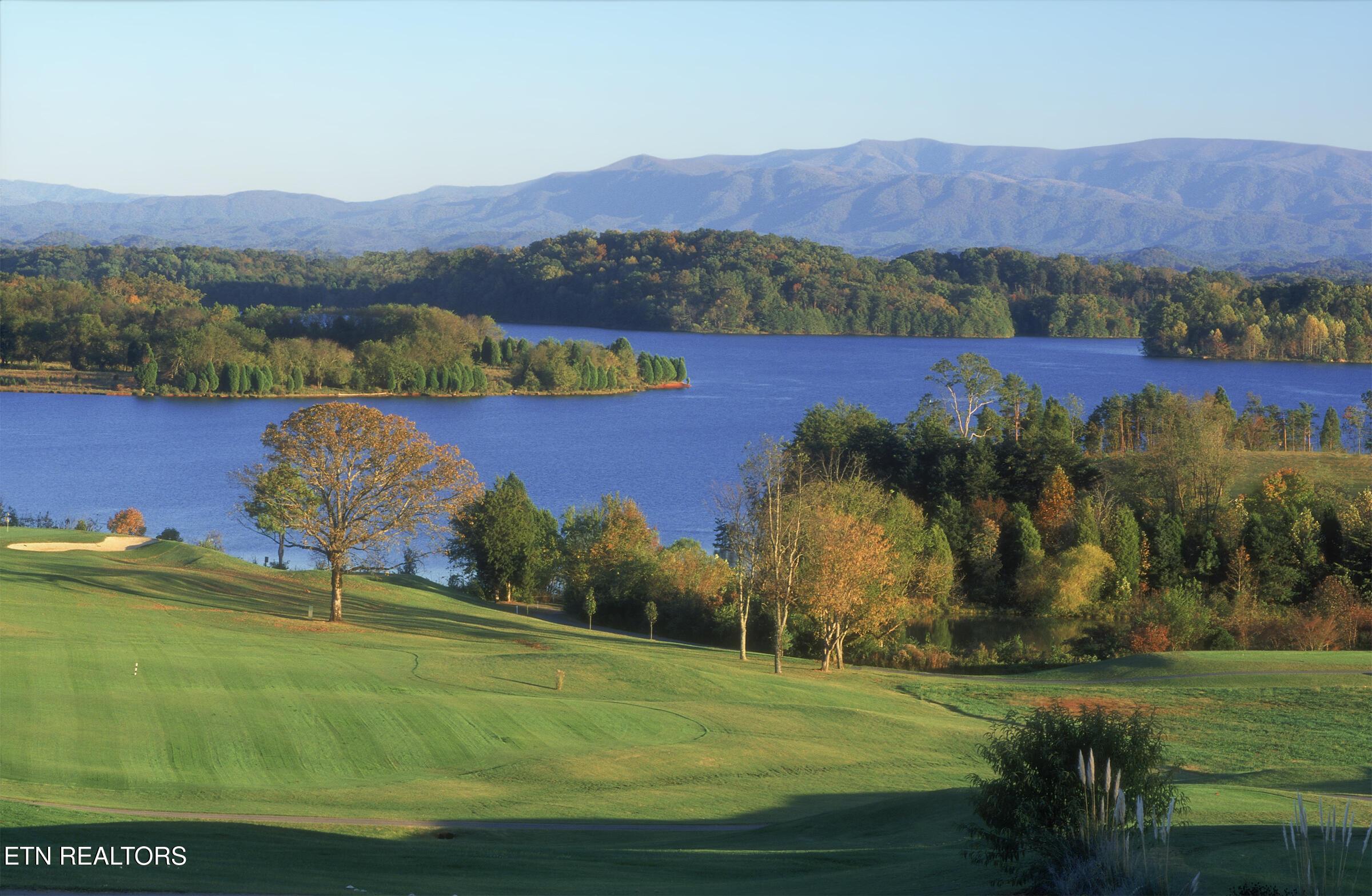 Fort Loudoun and Tellico Lake Real Estate - Image# 49