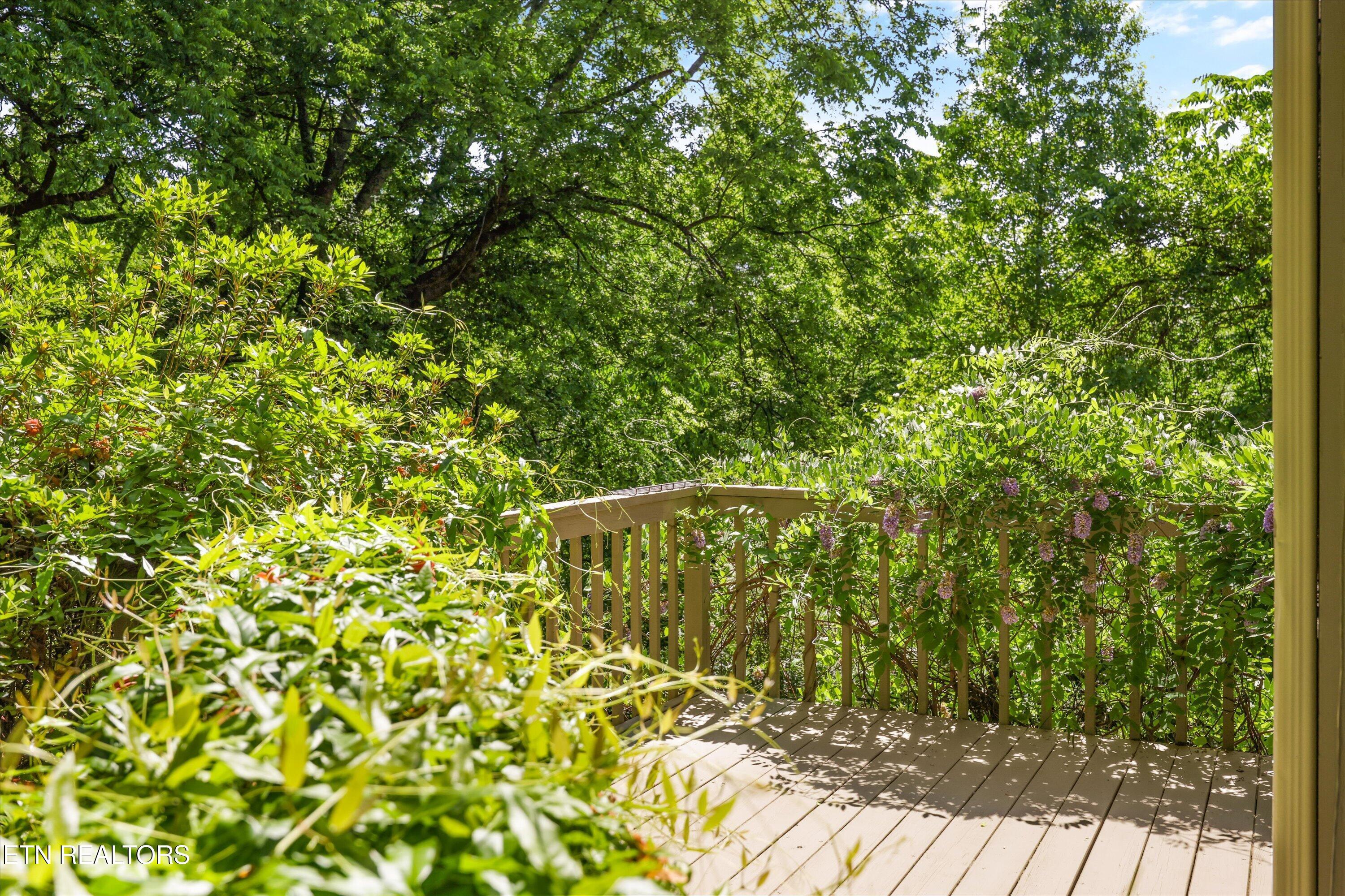 8940 Kelsey Lane, Knoxville, TN - Fort Loudoun and Tellico Lake Real Estate - Image# 46