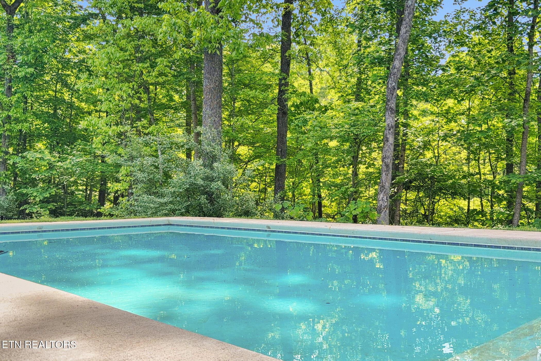 Fort Loudoun and Tellico Lake Real Estate - Image# 45