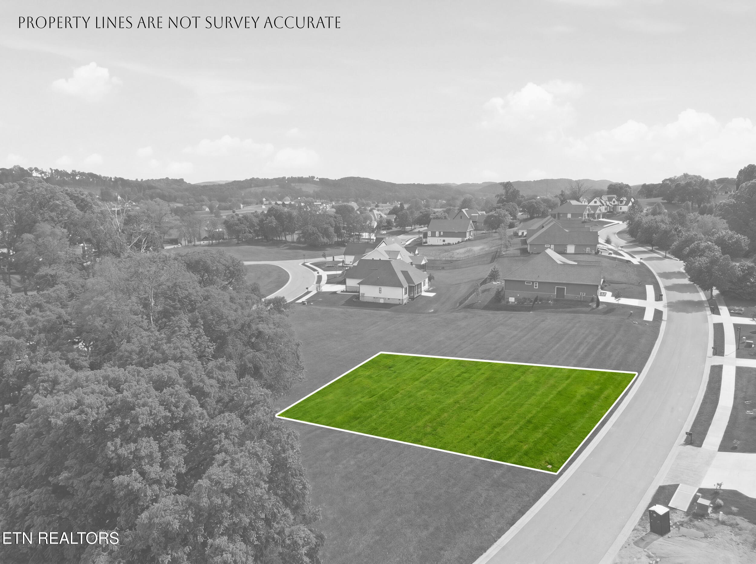 Fort Loudoun and Tellico Lake Real Estate - Image# 21