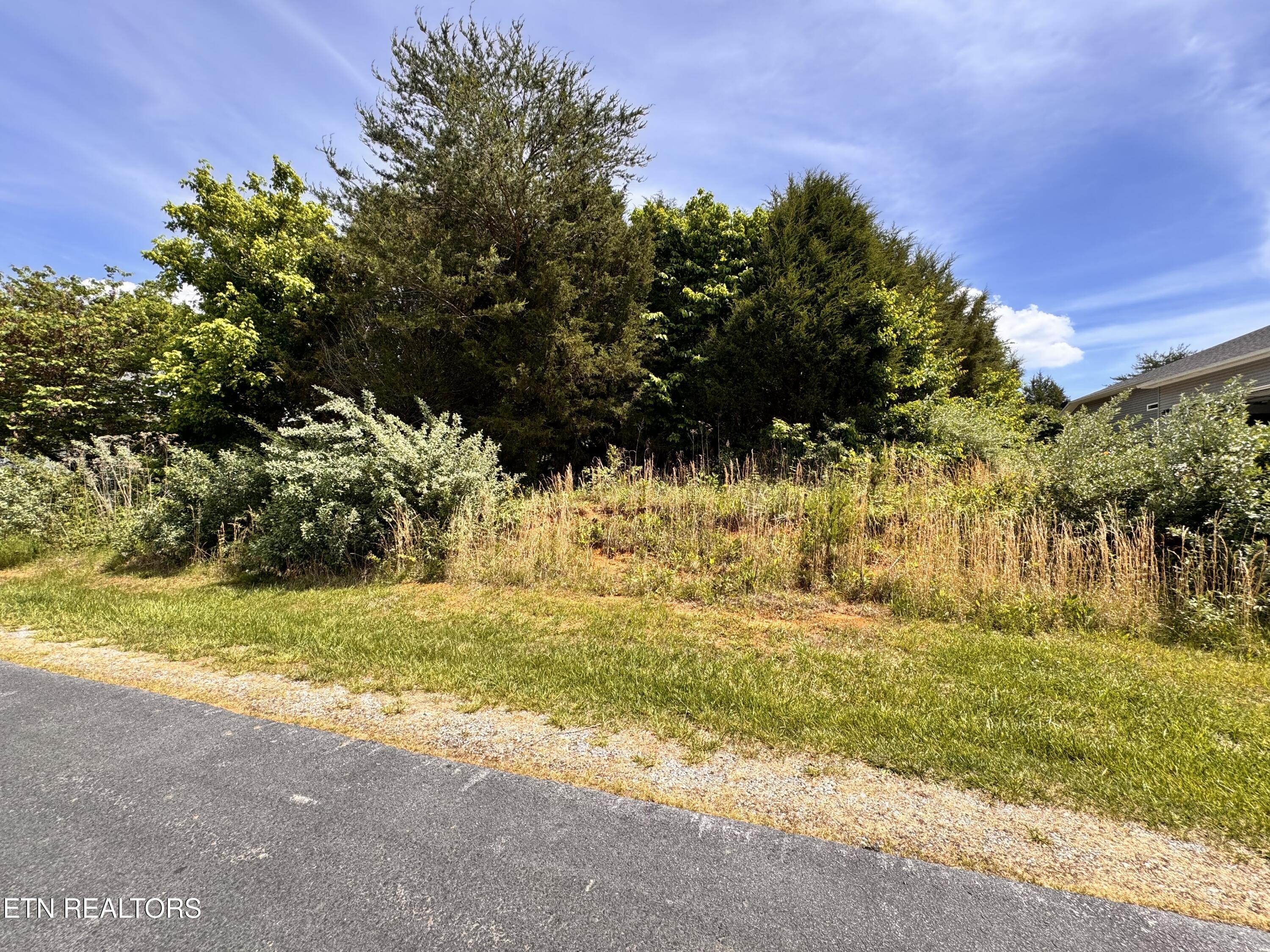 193 Ganega Tr, Vonore, TN - Fort Loudoun and Tellico Lake Real Estate - Image# 6