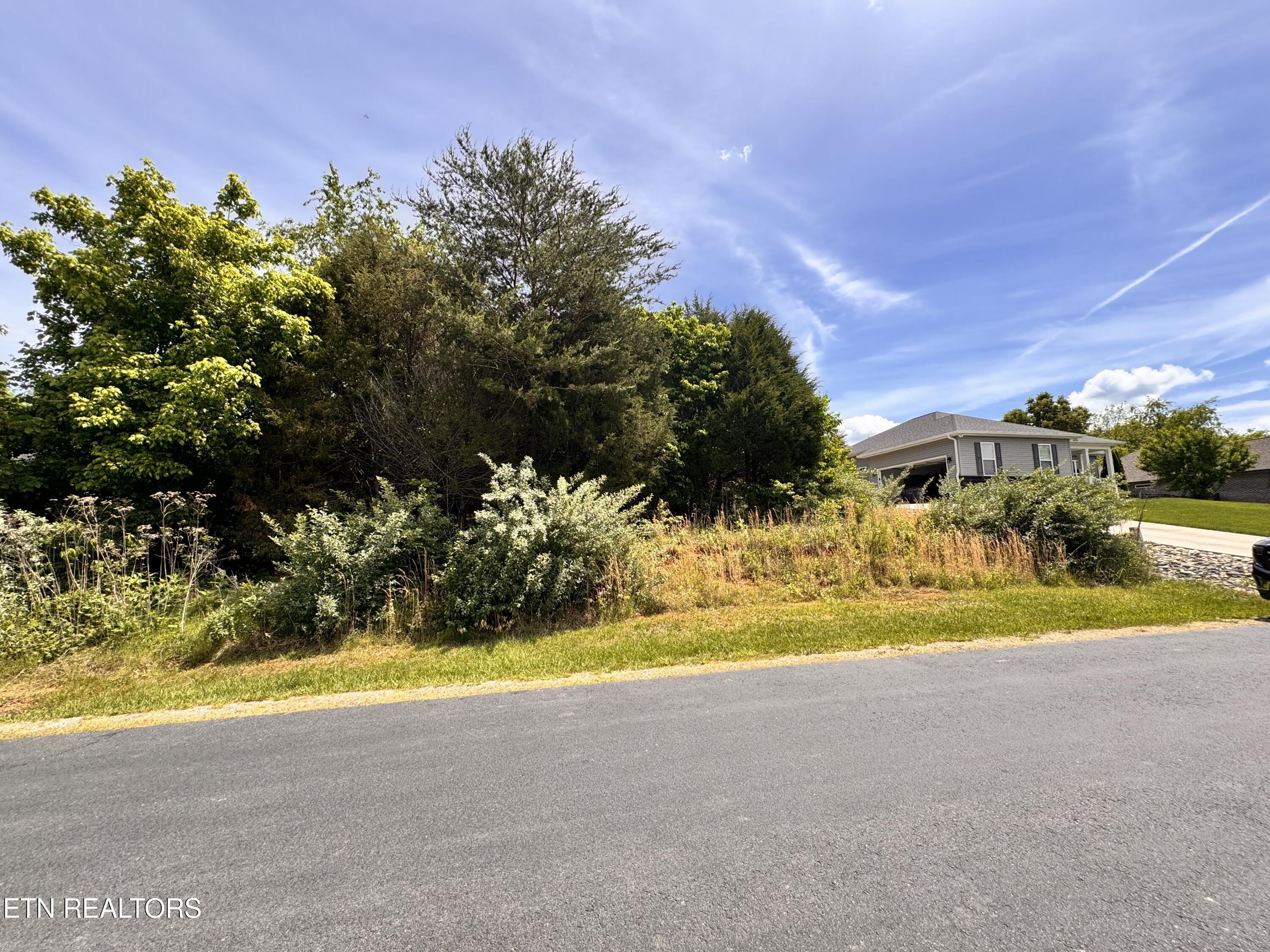 193 Ganega Tr, Vonore, TN - Fort Loudoun and Tellico Lake Real Estate - Image# 7