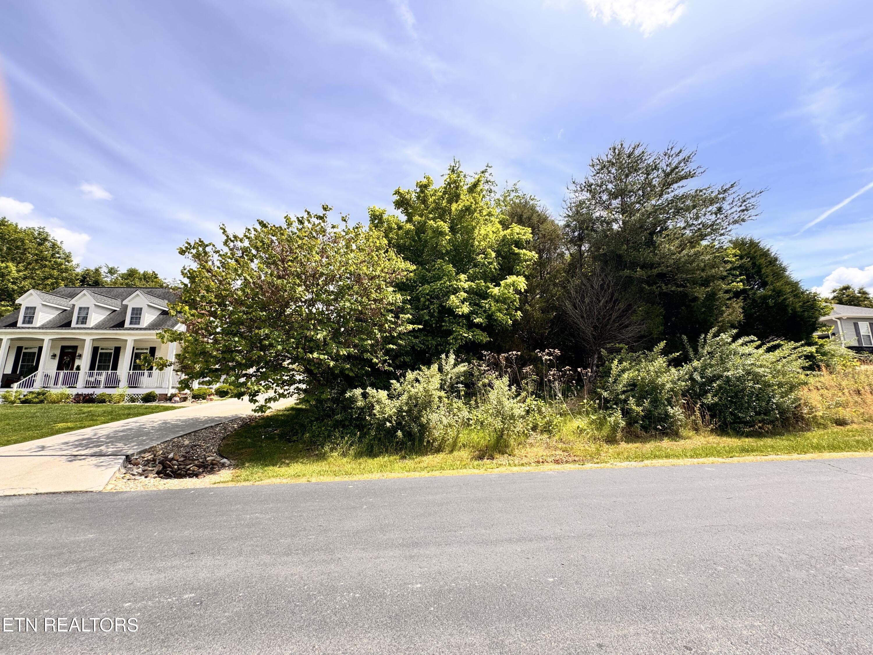 193 Ganega Tr, Vonore, TN - Fort Loudoun and Tellico Lake Real Estate - Image# 8