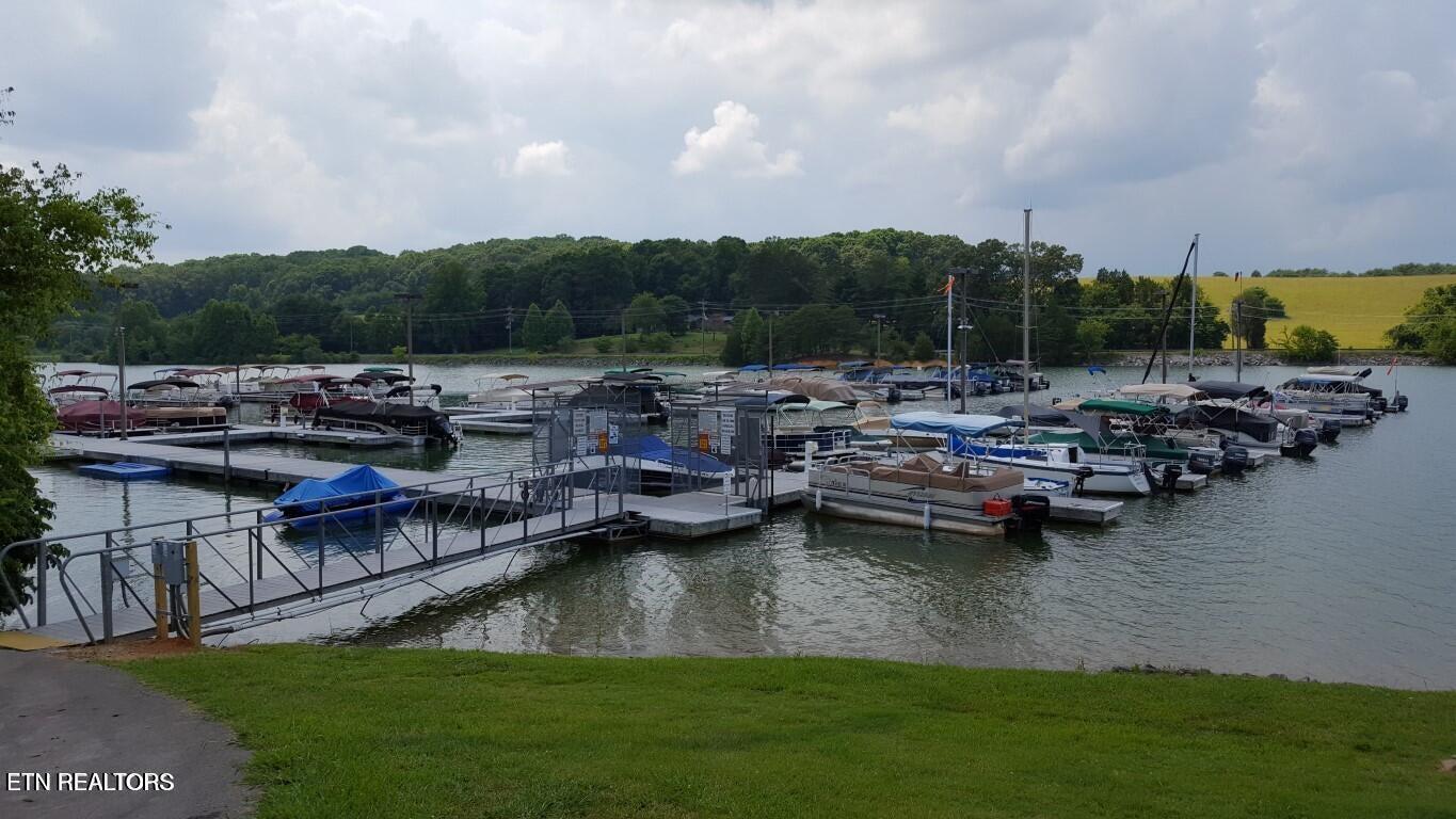 193 Ganega Tr, Vonore, TN - Fort Loudoun and Tellico Lake Real Estate - Image# 11
