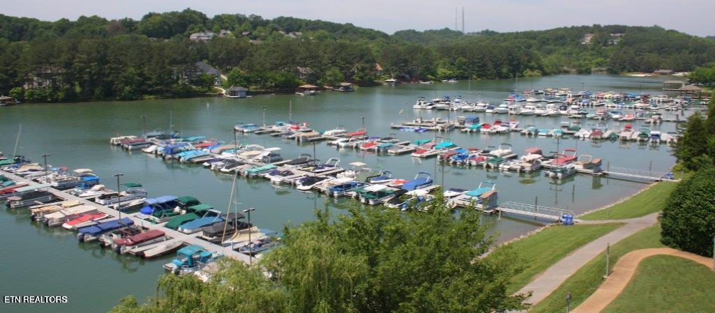 193 Ganega Tr, Vonore, TN - Fort Loudoun and Tellico Lake Real Estate - Image# 12