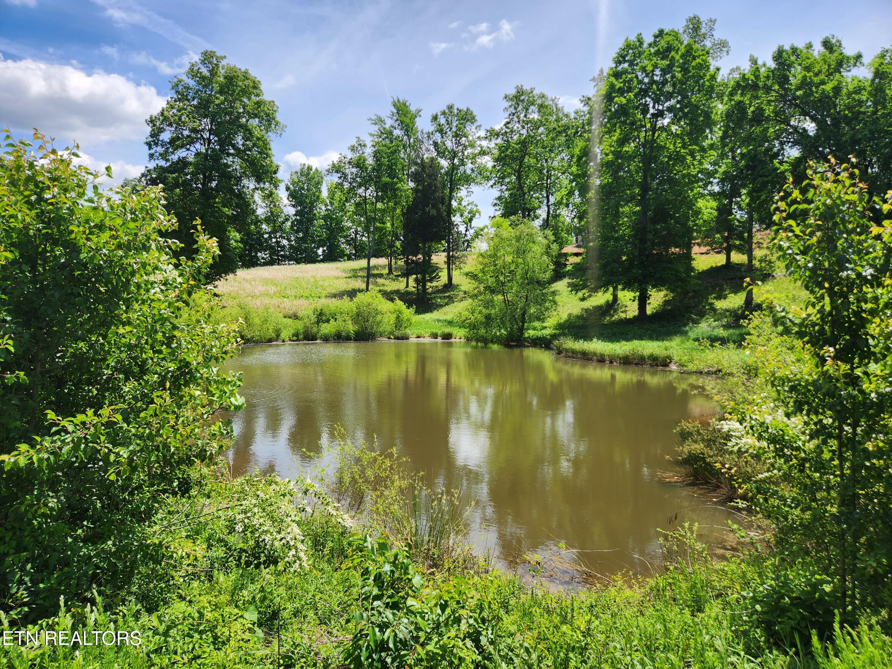 Oak Leaf Lot 71 Drive, Loudon, TN - Fort Loudoun and Tellico Lake Real Estate - Image# 10