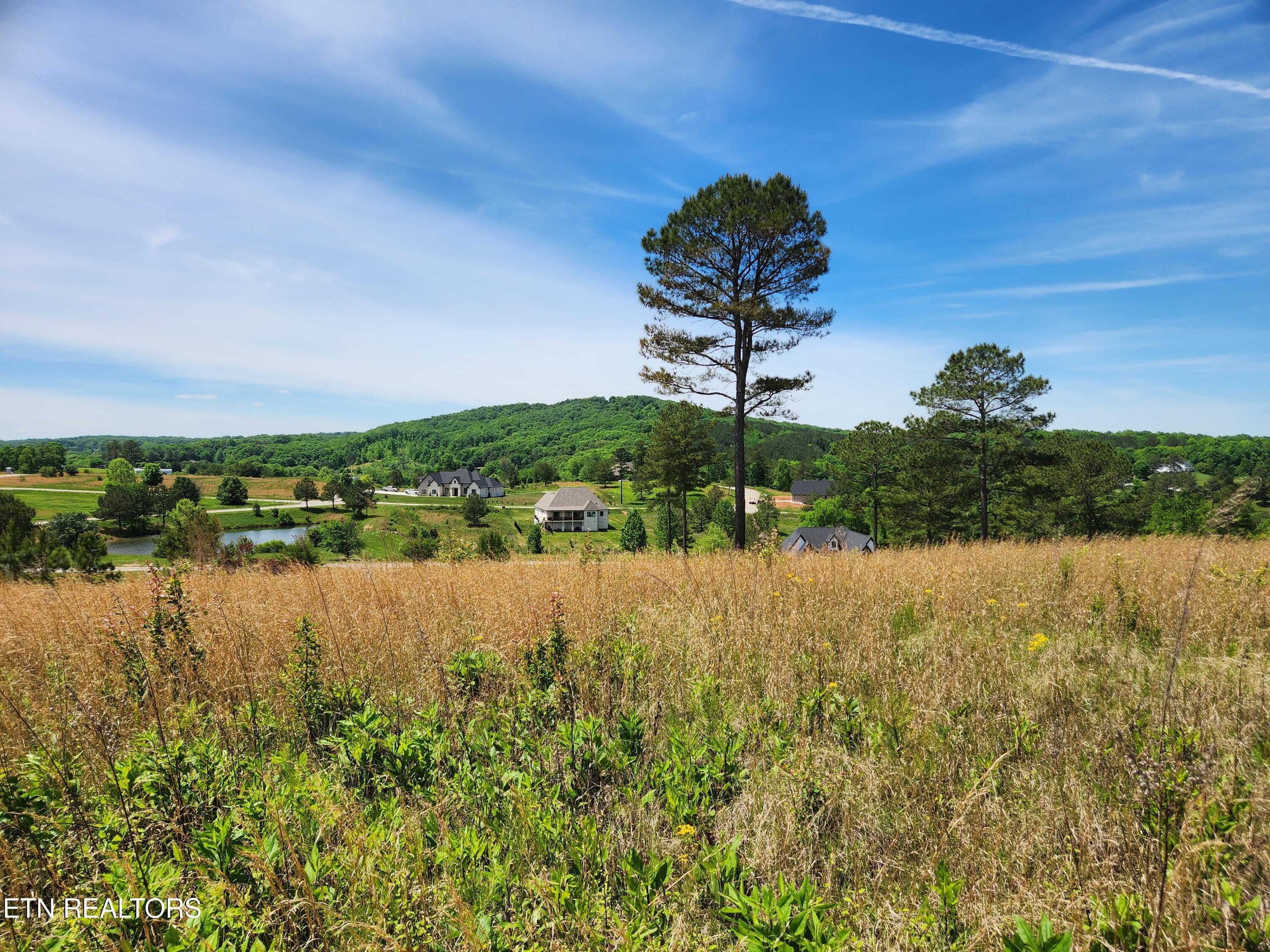 Oak Leaf Lot 71 Drive, Loudon, TN