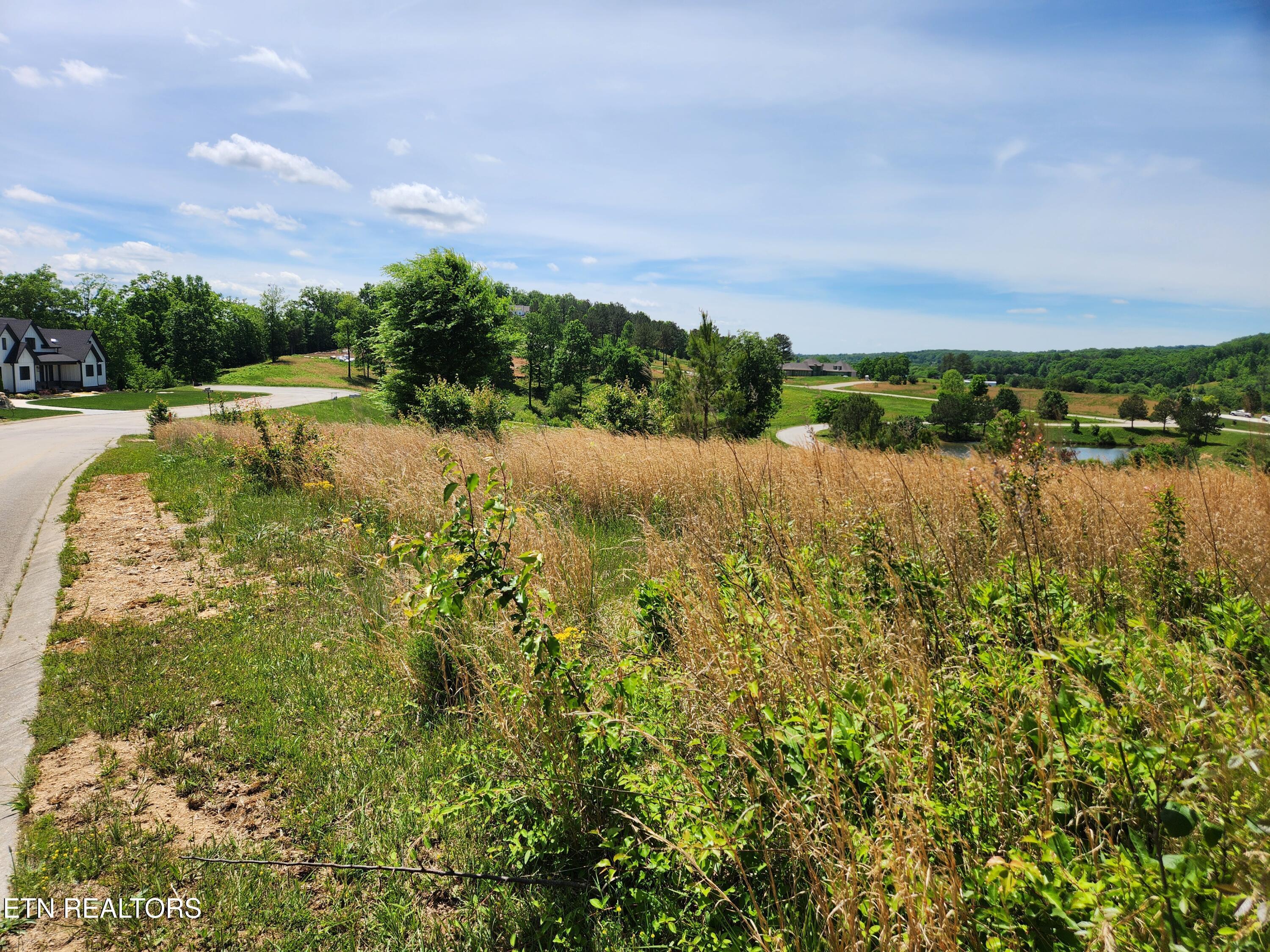 Oak Leaf Lot 71 Drive, Loudon, TN - Fort Loudoun and Tellico Lake Real Estate - Image# 3