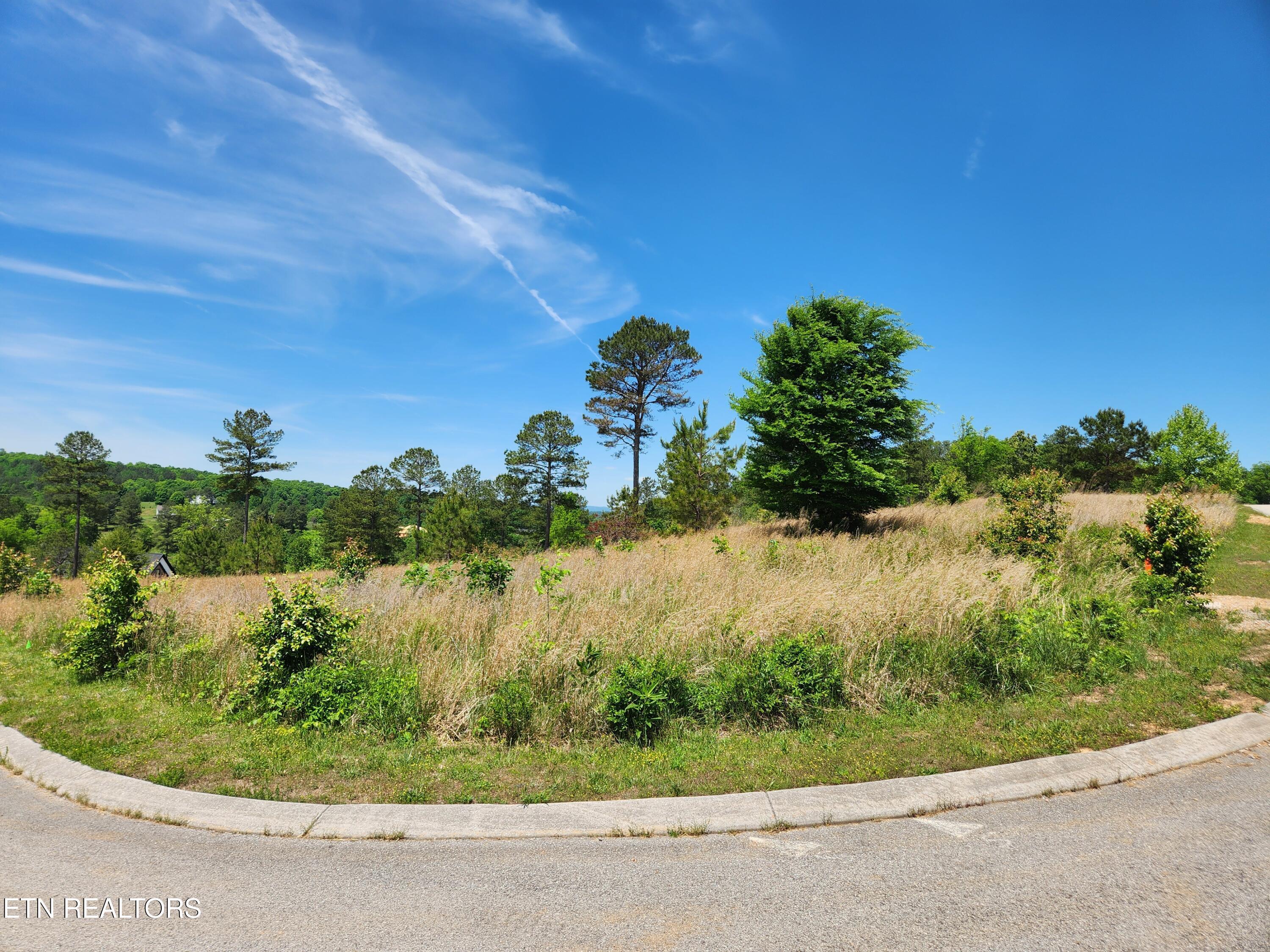Oak Leaf Lot 71 Drive, Loudon, TN - Fort Loudoun and Tellico Lake Real Estate - Image# 2